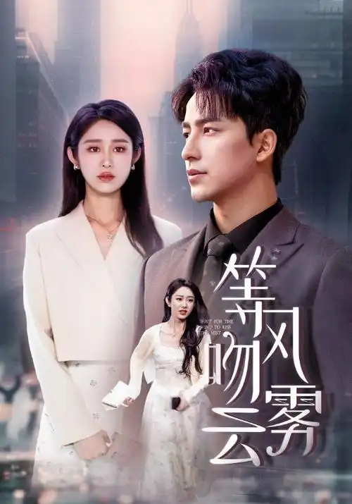 《长夜将明》都市电视剧海报