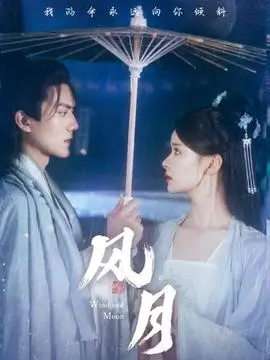 《风起云中》古装权谋电视剧海报